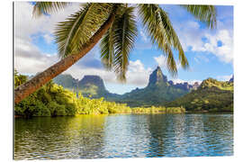 Gallery print Tropical Moorea