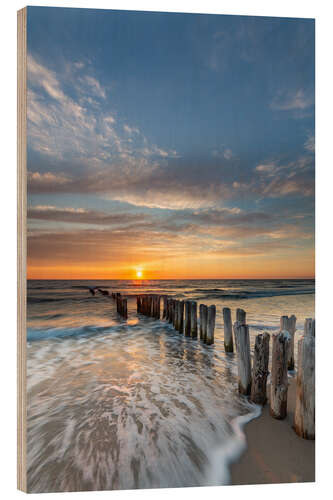 Wood print Sunset at the groyne