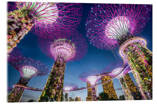 Acrylic print Supertrees in Singapore