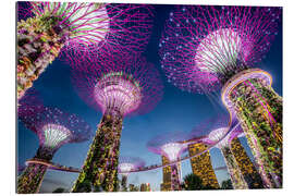 Galleriprint Supertrees in Singapore