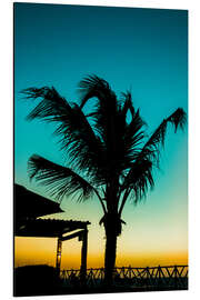 Print på aluminium Palm tree in blue sunset