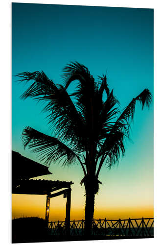 Foam board print Palm tree in blue sunset