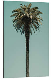 Aluminium print Palm Tree in blue sky