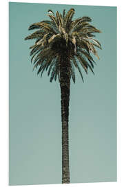 Bilde på skumplate Palm Tree in blue sky