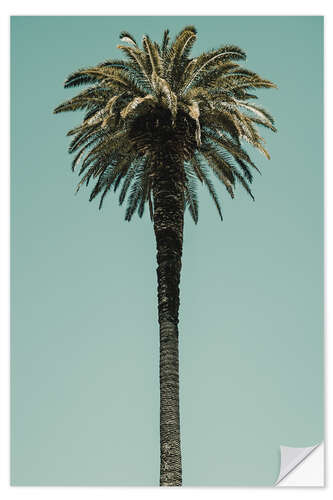 Selvklebende plakat Palm Tree in blue sky