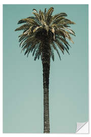 Wall sticker Palm Tree in blue sky