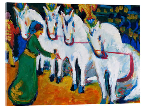 Acrylglas print Circus horses dressage