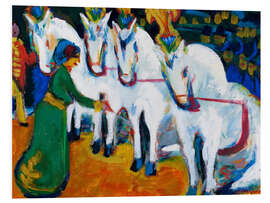 Foam board print Circus horses dressage