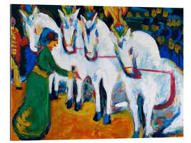 Tableau en plexi-alu Dressage de chevaux blancs