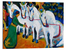 Magnettafel Schimmeldressurakt