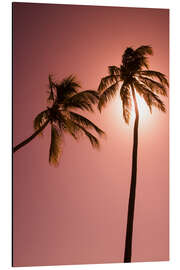 Aluminium print Two palm trees