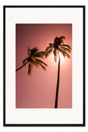 Gerahmter Kunstdruck Zwei Palmen