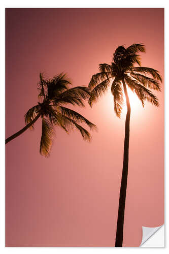 Wall sticker Two palm trees