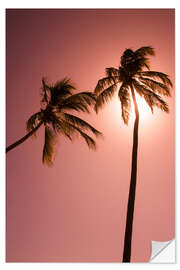 Wall sticker Two palm trees