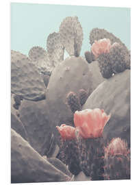 Foam board print Cactus flower