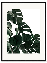 Framed art print In the shadow of the Monstera