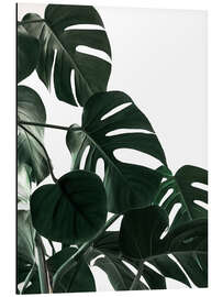 Magnettafel Im Schatten der Monstera