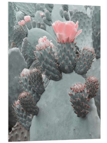 Foam board print Desert flower