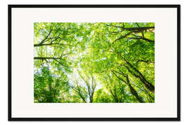 Gerahmter Kunstdruck Saftig grüne Baumkronen