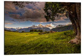 Alubild Alpenwiese vor dem Watzmann