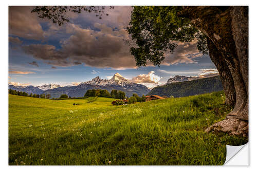 Wandsticker Alpenwiese vor dem Watzmann