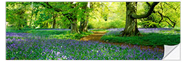 Selvklebende plakat Hare bells on a forest meadow in North Yorkshire