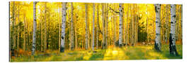 Gallery print Sunbeams in the birch forest