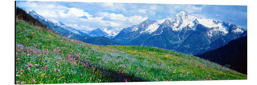 Alubild Blick auf die Zillertaler Alpen