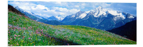 Foam board print View of the Zillertal Alps