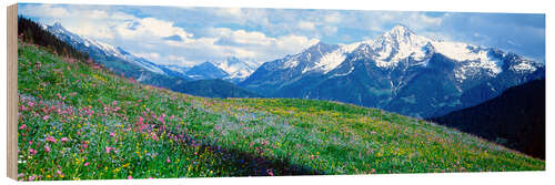 Wood print View of the Zillertal Alps