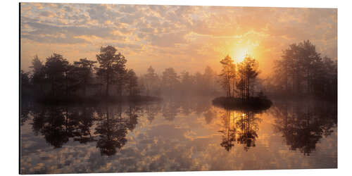 Aluminium print Knuthojdmossen Nature Reserve in Sweden