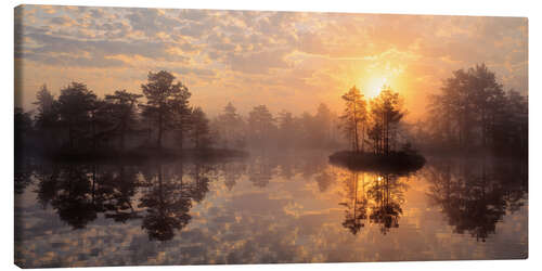 Tableau sur toile Réserve naturelle de Knuthojdmossen en Suède