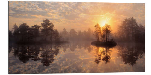 Gallery Print Knuthojdmossen Natur Reservat in Schweden