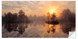 Naklejka na ścianę Knuthojdmossen Nature Reserve in Sweden