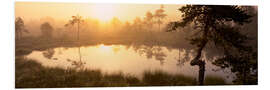 Foam board print Sunrise in Västmanland, Sweden