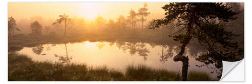 Selvklebende plakat Sunrise in Västmanland, Sweden