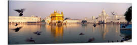 Aluminiumtavla Reflection of the Golden Temple