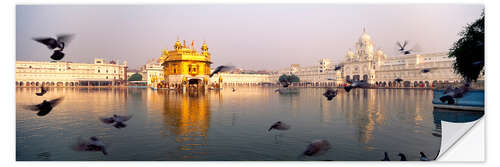 Selvklebende plakat Reflection of the Golden Temple