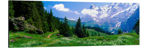 Cuadro de aluminio Paisaje alpino de Murren, Suiza