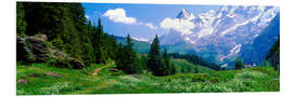 Foam board print Murren alpine landscape, Switzerland