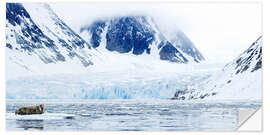 Wall sticker Bearded seal on an ice floe, Spitsbergen, Norway