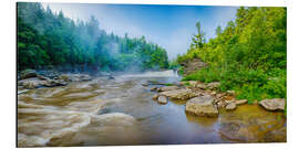 Alubild Youghiogheny River, Swallow Falls State Park, Maryland, USA