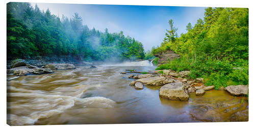 Lerretsbilde Youghiogheny River, Swallow Falls State Park, Maryland, USA