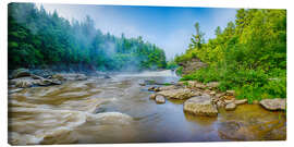 Canvas print Youghiogheny River, Swallow Falls State Park, Maryland, USA