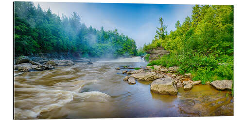 Gallery print Youghiogheny River, Swallow Falls State Park, Maryland, USA