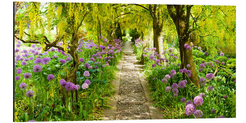 Aluminium print Laburnum trees in the Barnsley House Gardens