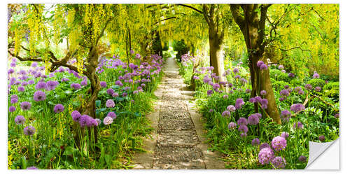 Selvklebende plakat Laburnum trees in the Barnsley House Gardens