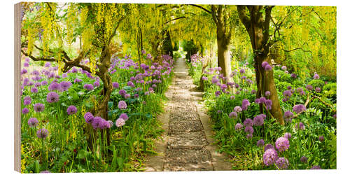 Wood print Laburnum trees at Barnsley House Gardens