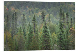 Magnettafel Oberer Nationalwald I