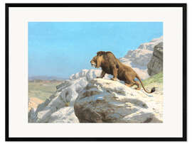 Framed art print Lurking lion